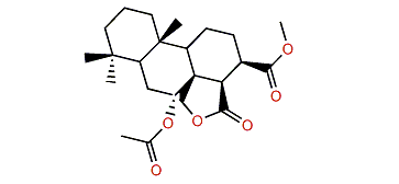 7a-Acetoxydendrillol 3